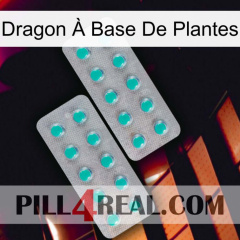 Dragon À Base De Plantes 29